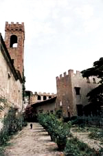 Castello di Montebicchieri (credits: www.italiamappe.it)